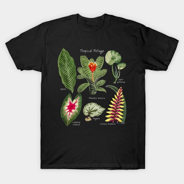 Tropical Plants Foliage Flowers T-Shirt by Pine Hill Goods